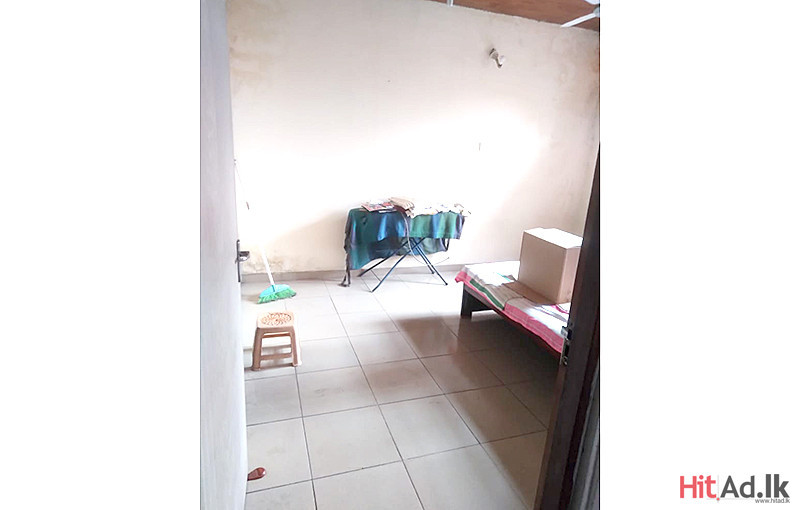 House for Rent in Kirulapana