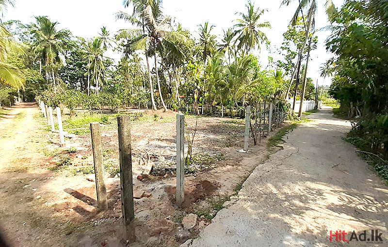 Estates for Sale in Bentota