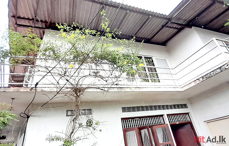 House for Rent in Maharagama