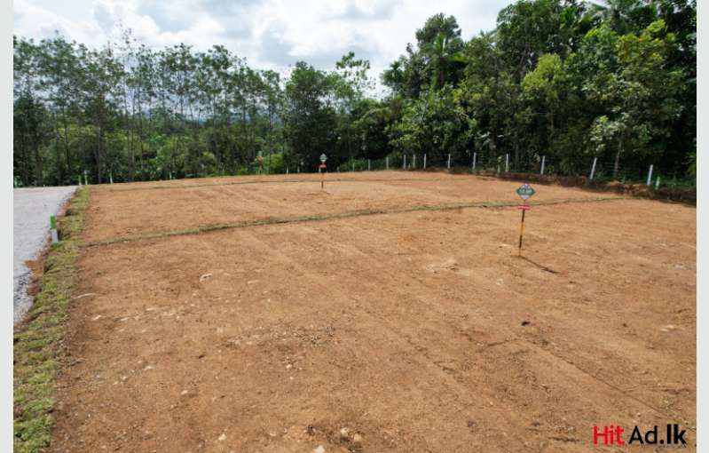 Land For Sale Near Meepe Highlevel Road