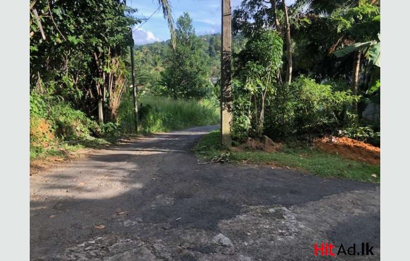 Highly Residential Land In The Heart Of Kegalle