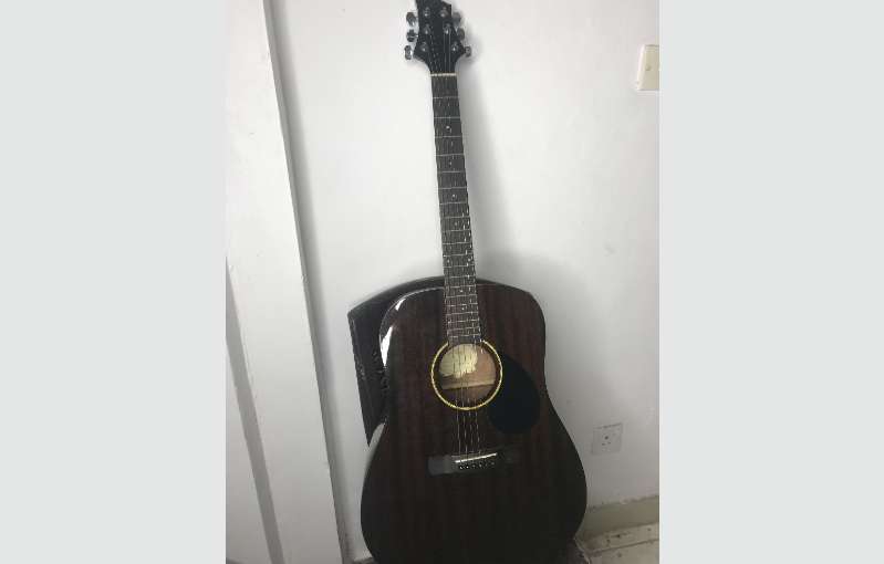 Gereg Benett D-1n Guitar With Professional Case 