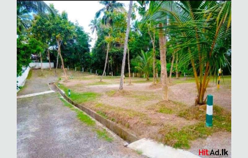 Kadawatha Land For Sale