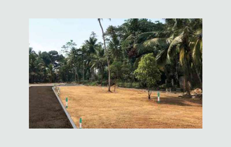 Land for sale in Meepe