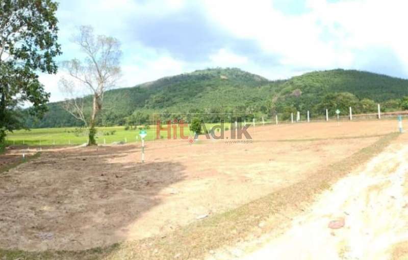 Kosgoda Fabulous Plots For Sale