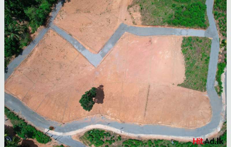 Lands for sale in Horana