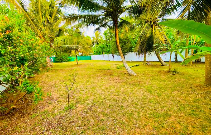 Land for Sale in Panadura