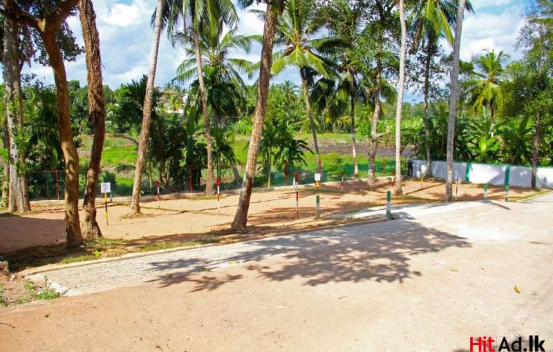 Land For Sale In Kahathuduwa Koralima
