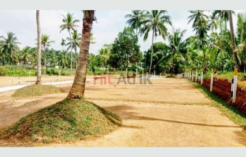 Land for sale in ja-ela 