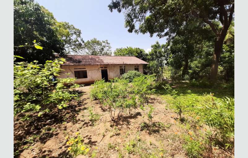 Hitad.lk - 80 Perches Land With A Small House For Sale