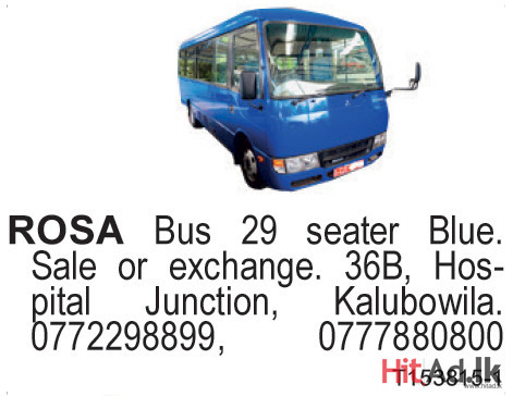 Rosa Bus 