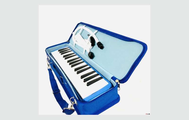 Rowell 32 Key Melodica Instrument With Box 