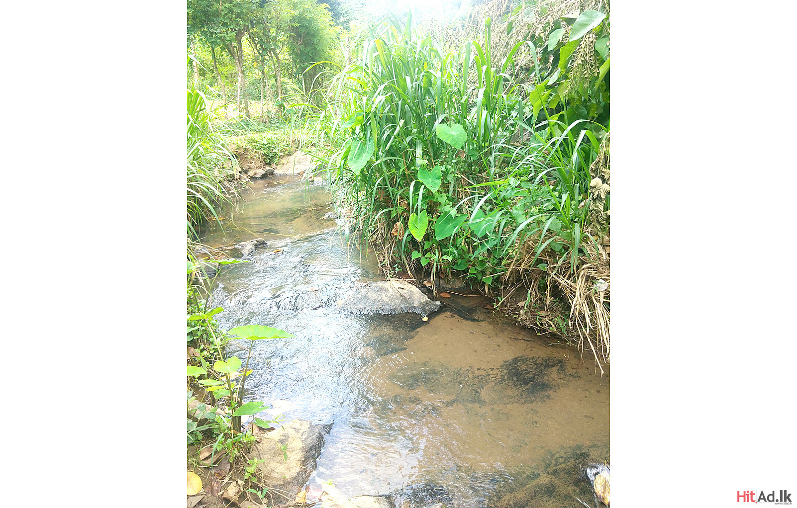 Kandy Land for Sale Property Lands HitAd.lk