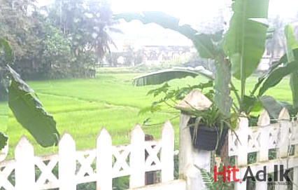 Kottawa-Thalagala House for Sale