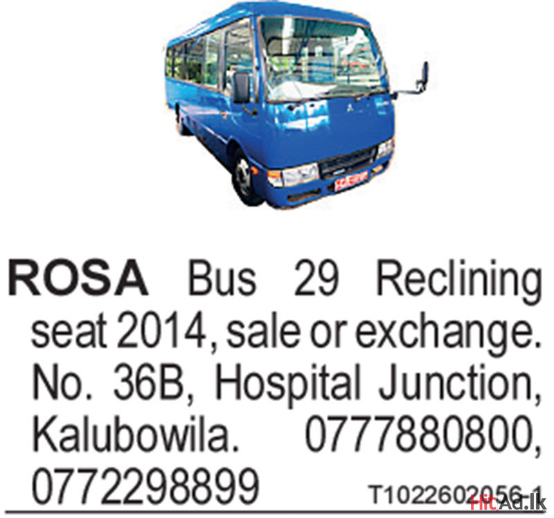 Rosa Bus 2014 Bus