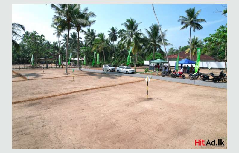 Land For Sale In Wadduwa