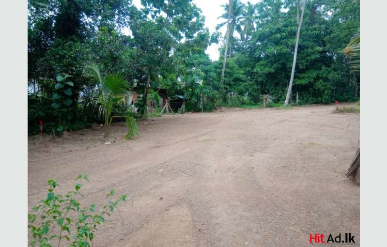 Watareka Land For Sale