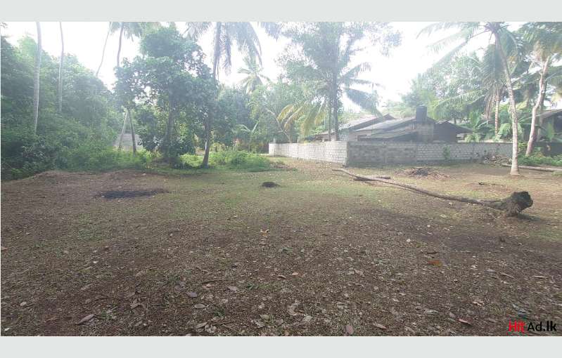 Land For Sale In Gampaha