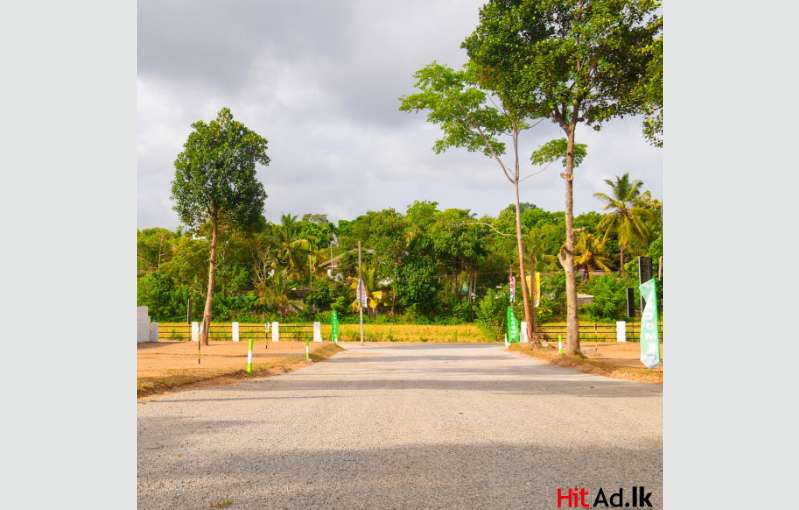 Piliyandala Land For Sale