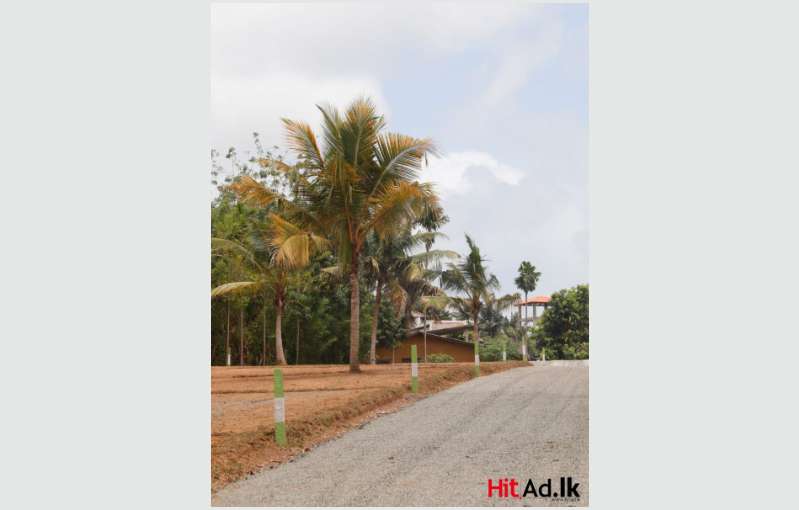 Land for Sale in Piliyandala