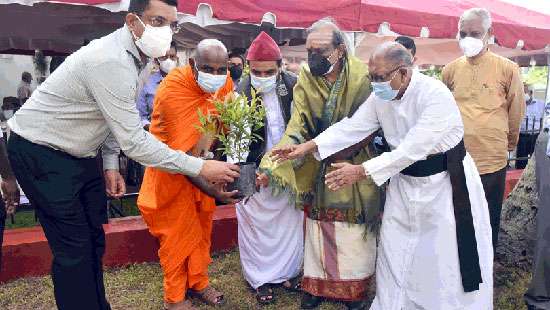 Tree planting on account of Meelad-un-Nabi day