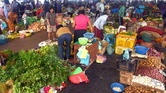 Busy buying vegetables..