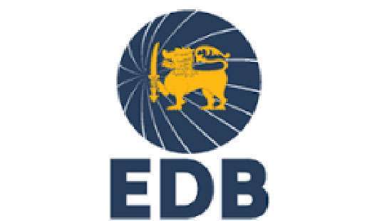 EDB ups online promotions efforts