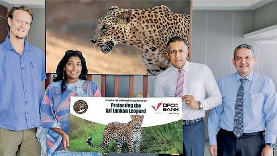 DFCC Bank and WWCT partner for protecting threatened Lankan leopard