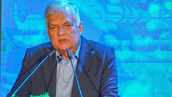 SL must not only boost number of tourists but elevate pricing: RW