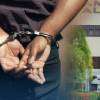 Canadian national arrested at Katunayake Airport with hashish worth over Rs. 200 Mn
