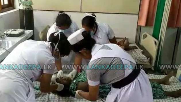 Wasp attack injures 13 in Kotiyagala