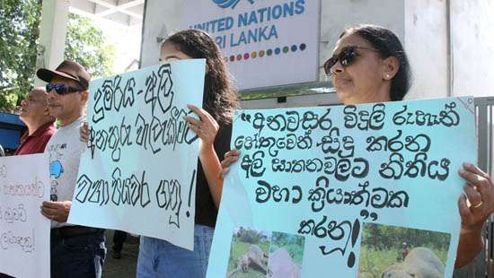 Demanding permanent solution to human-elephant conflict