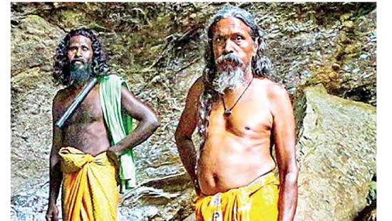 What happened to the Veddas,  the indigenous people of Sri Lanka?