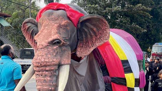 Elephant Free Elephant Walk: A Cultural Revolution for Climate Justice and Wildlife Protection