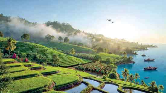 The  Third  Agricultural Revolution