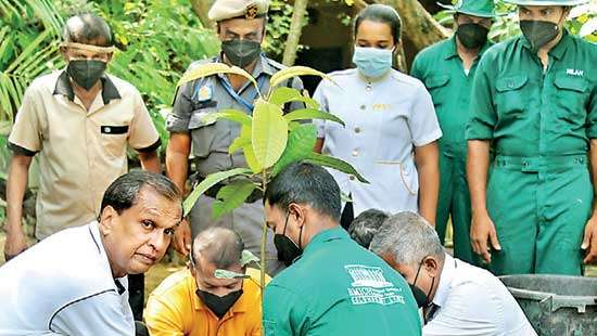 BMICH celebrates World Environment Day