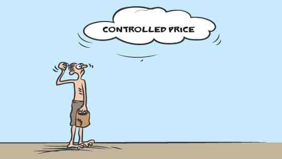 Price controls in a market economy - could it work?