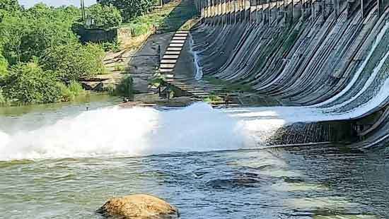 Rajangana Reservoir, opens its spill gates