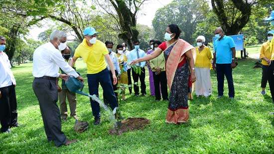 Let’s save a tree for Colombo