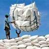 Rice imports hit local production by 60%, says National Agrarians’ Unity