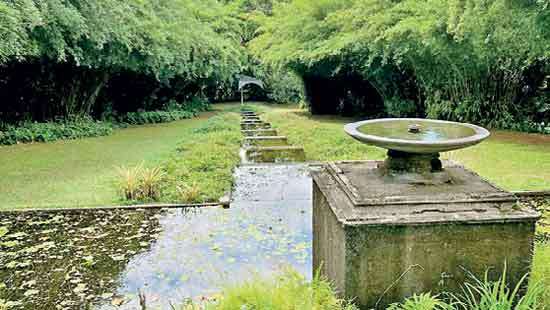 A Visit to Brief Garden