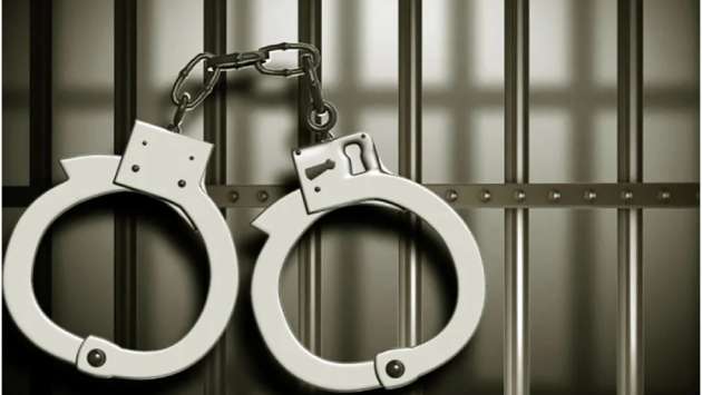 Police arrest 738 in special operation