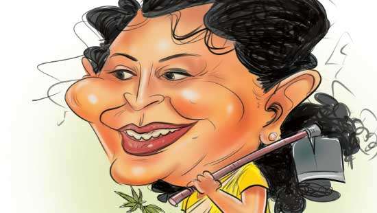 Panacea for economic crisis Grow “Ganja” to earn foreign exchange: Diana proposes to Govt.