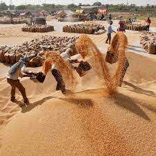 India halting wheat exports threatens to drive food prices further up
