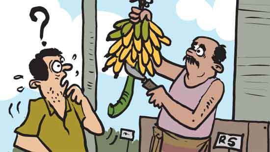 Stolen  bananas  end up back in owner’s hands, at a price