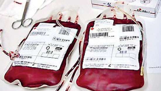 Blood-borne germs not present during blood transfusion process: Expert