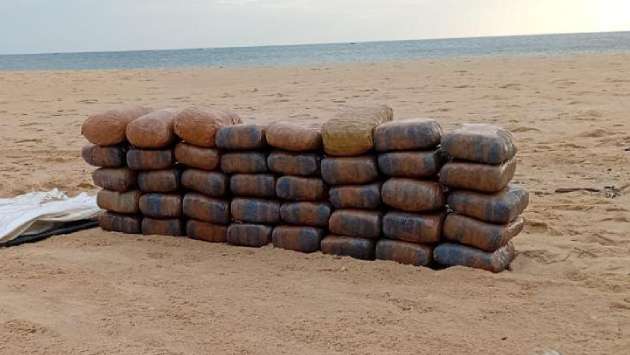 80kg of Kerala Cannabis seized in joint operation in Jaffna