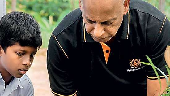 Siyapatha Finance kicks off national school-level tree planting project