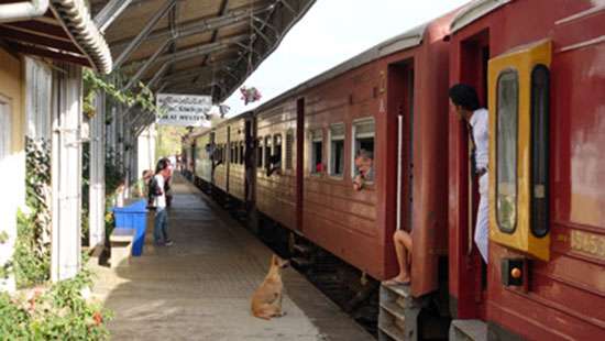 70 trains will run within  provinces tomorrow: SLSMU
