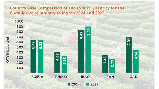 Tea industry overview – First quarter 2025